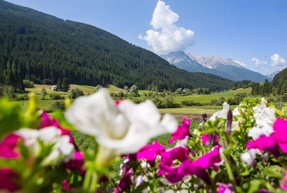Appartamento con 2 Camere da Letto e con Vista Montagna